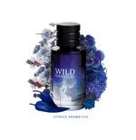 Linn-Young-Wild-Adventure-Eau-de-Toilette----Perfume-Masculino-100ml