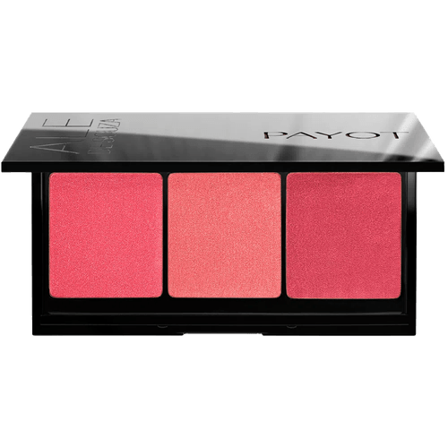 Payot by Ale de Souza - Paleta de Blushes