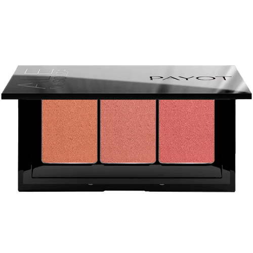 Payot By Ale de Souza MultiEffect - Paleta de Iluminadores 3 em 1