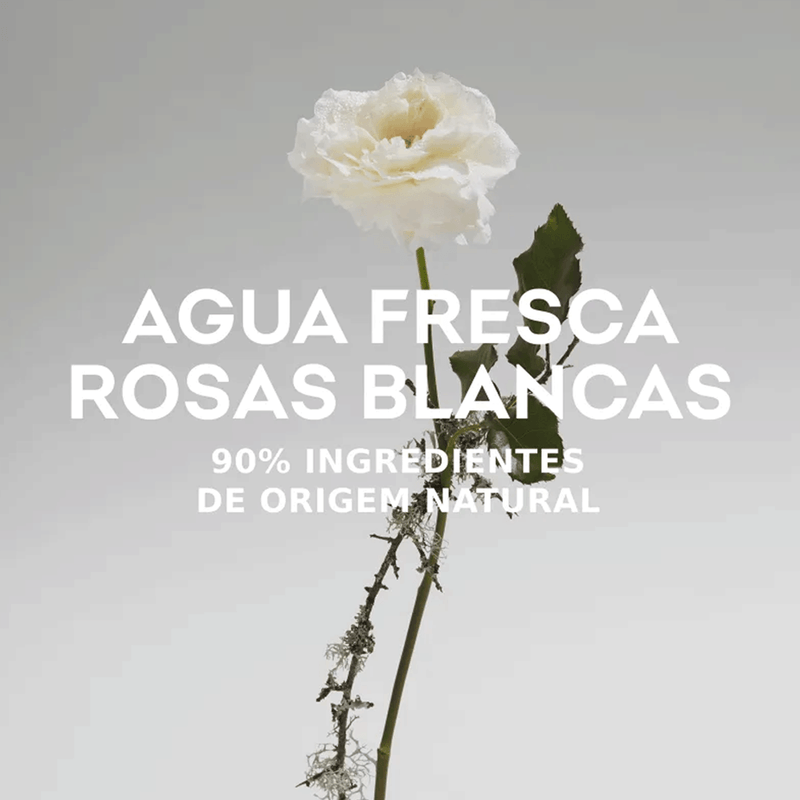 Rosas-Blancas