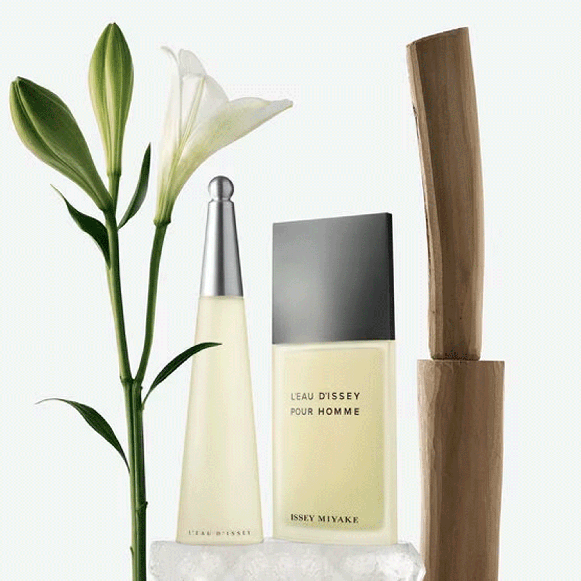 Issey Miyake LEau DIssey Eau de Toilette - Perfume Feminino