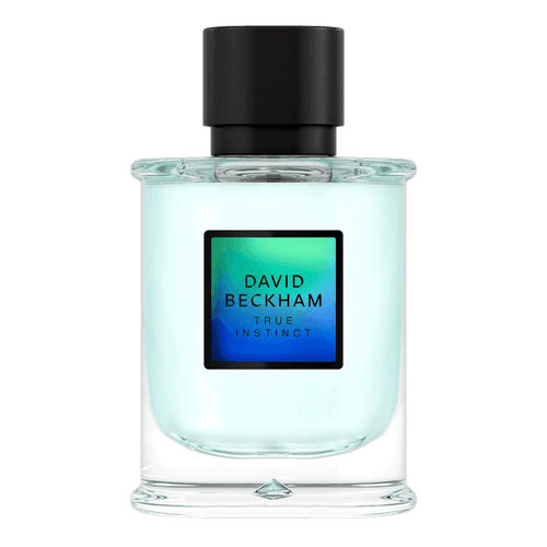 David Beckham True Instinct Eau de Parfum - Perfume Masculino