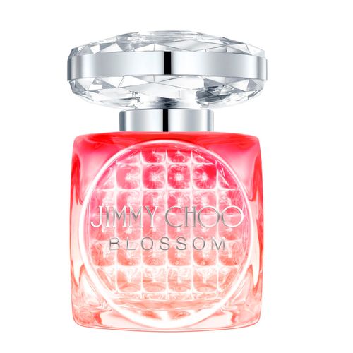Jimmy Choo Blossom Special Edition 2025 - Perfume Feminino