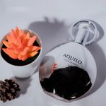 Perfume Masculino Maison Alhambra Aquilo Pour Homme Eau de Parfum 100ml