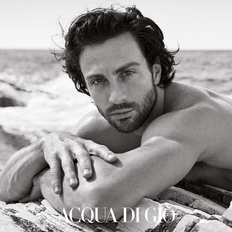 Perfume Masculino Giorgio Armani Acqua Di Gio Eau de Parfum 100ml