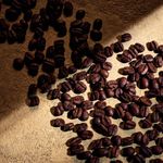 Perfume Masculino Dolce & Gabbana Devotion Pour Homme Parfum 50ml