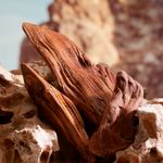 Perfume Masculino Dolce & Gabbana K Pour Homme Parfum 100ml