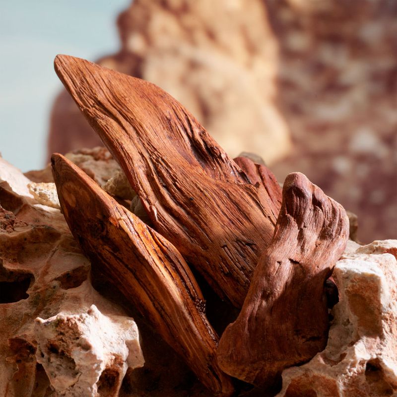 Perfume Masculino Dolce & Gabbana K Pour Homme Parfum 100ml