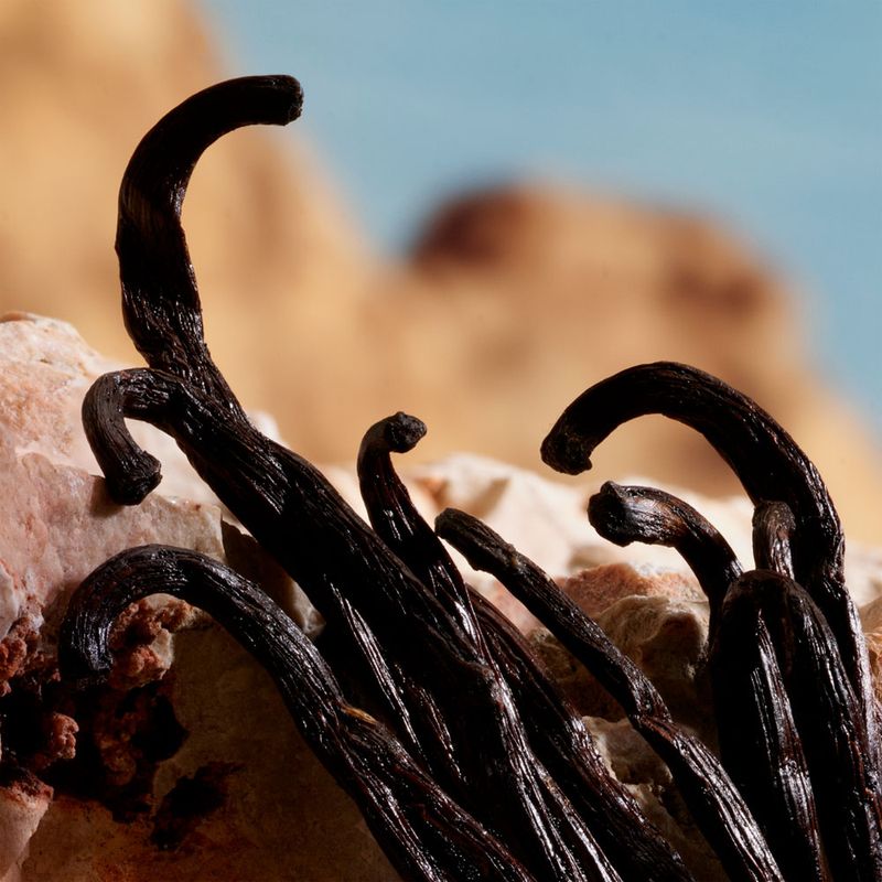 Perfume Feminino Dolce & Gabbana Q Parfum 100ml