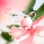 Perfume Feminino Lancôme Ôver The Top Eau de Toilette 100ml