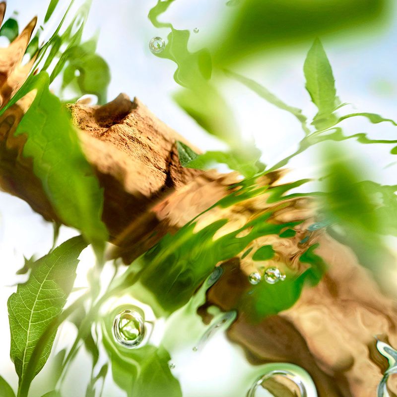 Perfume Feminino Lancôme Ôff Now Eau de Toilette 100ml