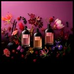 Perfume Feminino Victorio & Lucchino Nº 16 Flor Exótica Eau de Parfum 150ml