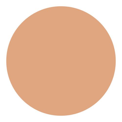 Shiseido UV Protective Compact Foundation Dark Ivory - Protetor Solar Facial Compacto FPS 35 Refil 12g