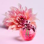 Perfume Feminino Nina Ricci Nina Illusion Eau De Parfum 80ml