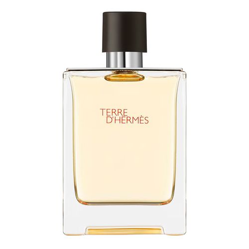 Hermès Terre d'Hermès Eau de Toilette - Perfume Masculino