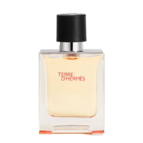Hermès Terre d'Hermès Eau de Toilette - Perfume Masculino