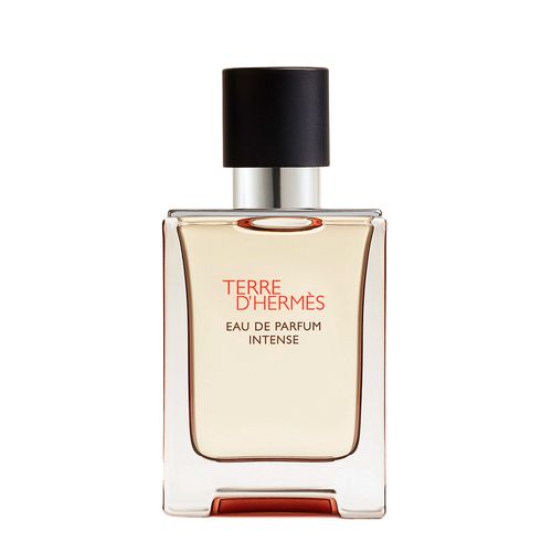 Hermès Terre d'Hermès Eau de Parfum Intense - Perfume Masculino