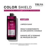 Shampoo Truss Professional Color Shield 1L