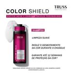 Shampoo Truss Professional Color Shield 300ml
