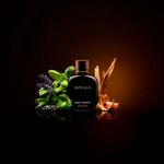 Perfume Masculino Dolce & Gabbana Pour Homme Intenso Eau de Parfum 200ml