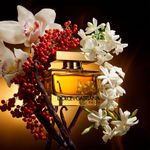 Perfume Feminino Dolce & Gabbana The One Eau de Parfum Intense 75ml