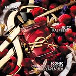 Perfume Feminino Yves Saint Laurent Libre Berry Crush Eau de Parfum 30ml