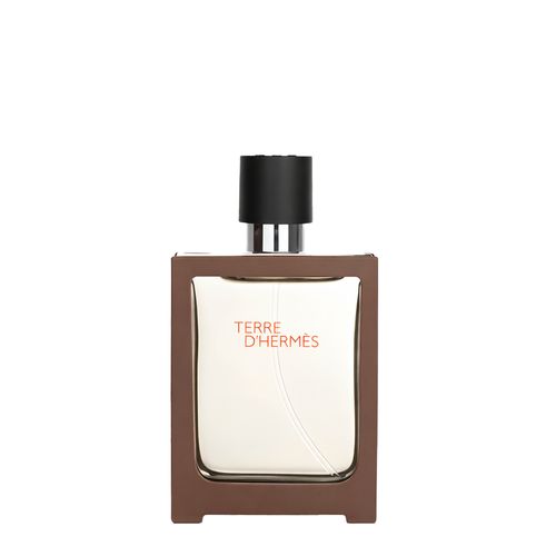 Hermès Terre d'Hermès Eau de Toilette - Perfume Masculino