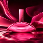 Perfume Feminino 100ml - Calvin Klein Euphoria Magnetic Elixir Parfum