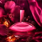 Perfume Feminino 50ml - Calvin Klein Euphoria Magnetic Elixir Parfum