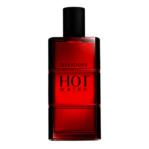 Davidoff Hot Water Eau de Toilette - Perfume Masculino 110ml