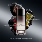 Perfume Masculino Issey Miyake Le Sel d'Issey Parfum 100ml