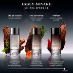 Perfume Masculino Issey Miyake Le Sel d'Issey Parfum 100ml
