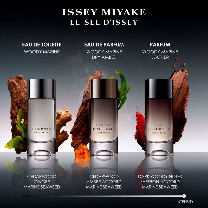 Perfume Masculino Issey Miyake Le Sel d'Issey Parfum 100ml