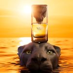Perfume Masculino 80ml - Lattafa Fahad Eau de Parfum