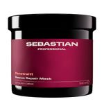 Máscara Capilar Sebastian Professional Penetraitt 500ml