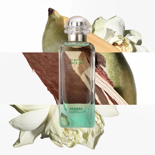 Fragrância Hermès da coleção Le Jardins em composição com frutas, flores e folhas.     VITRINE2_2_HERMES_KASSIO_PERFUMARIA  	  Fragrância Hermès Le Jardins cercada por flores e folhagens em tons verdes.     VITRINE2_3_HERMES_KASSIO_PERFUMARIA  	  Fragrância Hermès Le Jardins em composição floral com flores brancas e fundo claro.